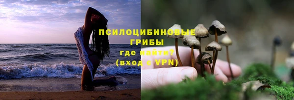 a pvp Медвежьегорск