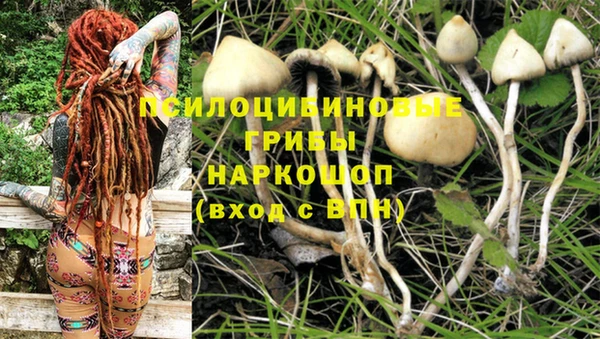 a pvp Медвежьегорск