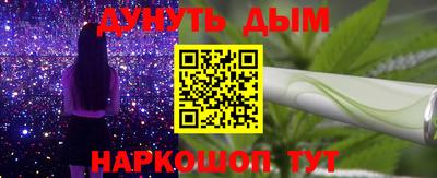 шишки Аргун