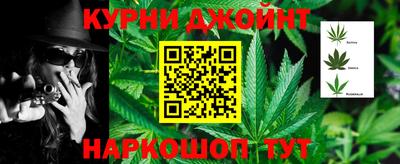 шишки Аргун