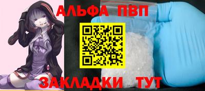 шишки Аргун