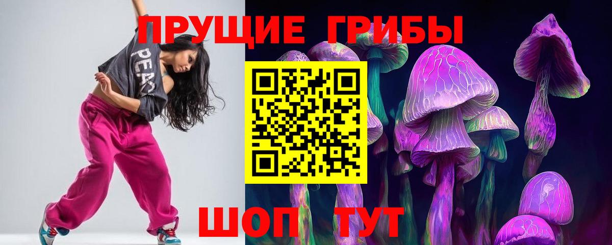 Галлюциногенные грибы Psilocybe Березники