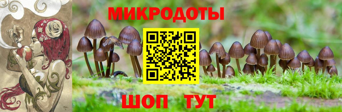 Галлюциногенные грибы Magic Shrooms Березники