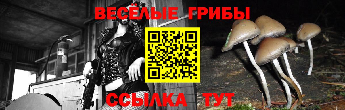Галлюциногенные грибы MAGIC MUSHROOMS  Псилоцибиновые грибы MAGIC MUSHROOMS  Березники  Вход с VPN 