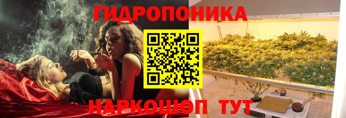 Каннабис планчик  Каннабис AK-47  Шишки марихуана THC 21%  Березники 